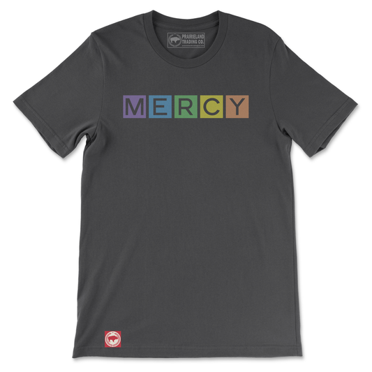 Colorful Mercy Christian T-Shirt – Rainbow-Inspired Faith Tee Reflecting Titus 3:5 & Psalm 103:8