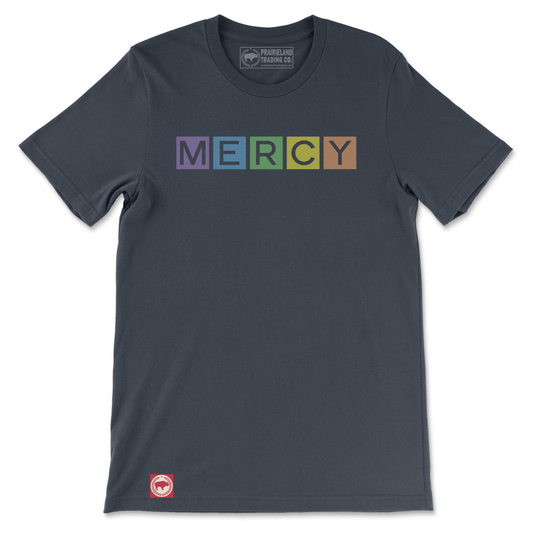 Colorful Mercy Christian T-Shirt – Rainbow-Inspired Faith Tee Reflecting Titus 3:5 & Psalm 103:8
