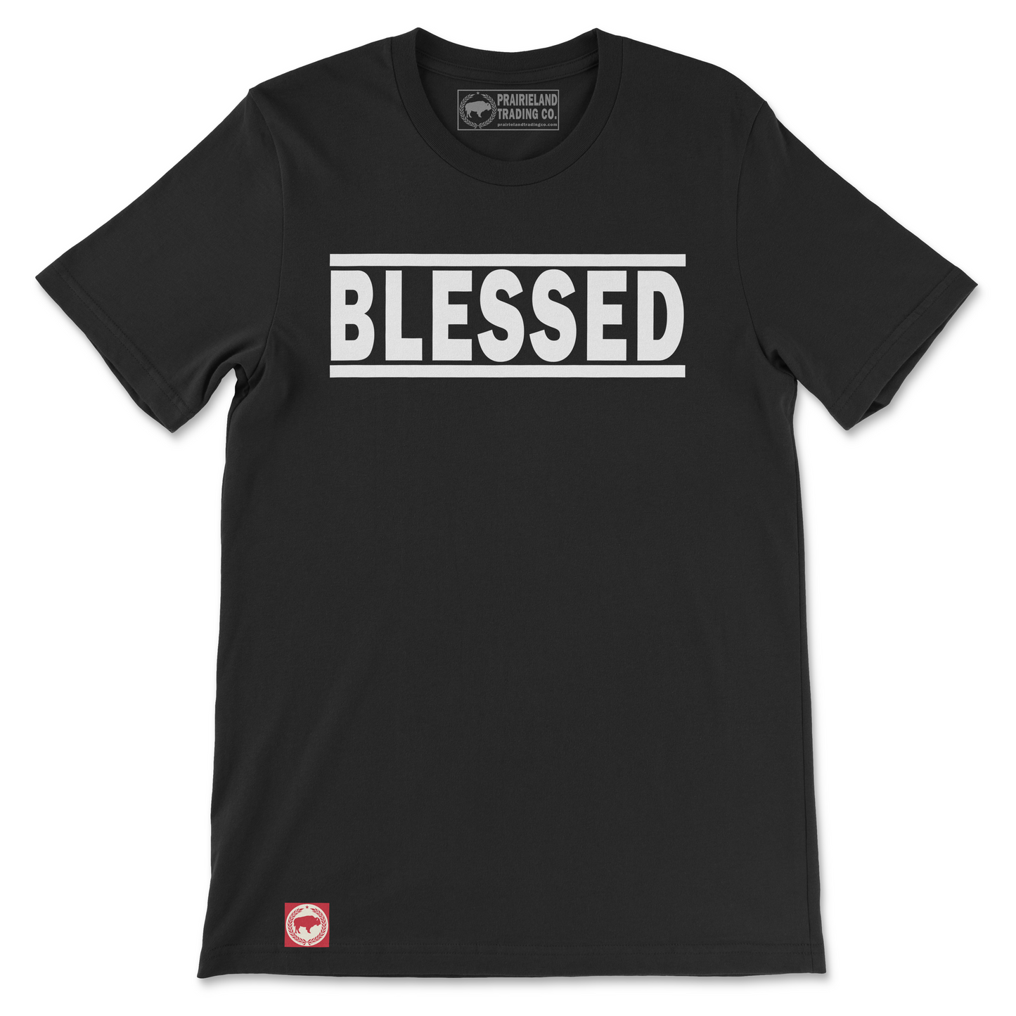 "BLESSED" Vintage Black T-Shirt: A Testament to Abundant Grace